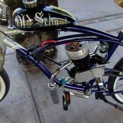 Custom Schwinn Motorized Bike