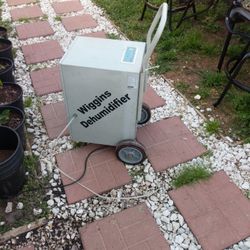 Wiggins Dehumidifier Comersial