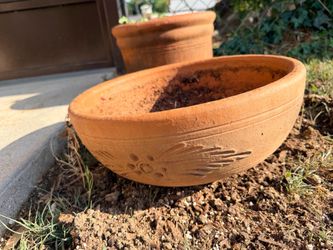 Terracotta pot