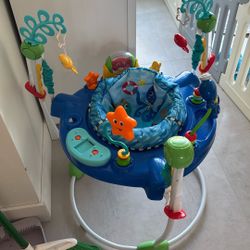 Baby Bouncer 
