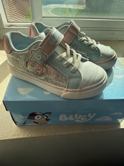 Bluey toddler size 9