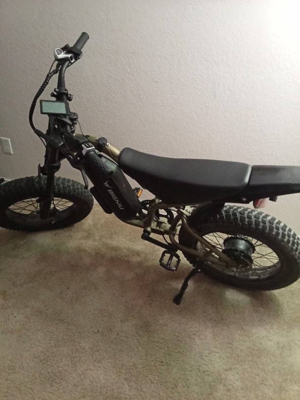 Electric Trail Bike