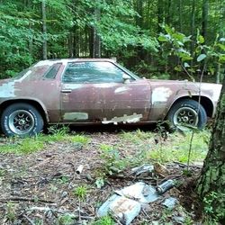 1976 Oldsmobile Cutlass - Good Parts Vehicle 