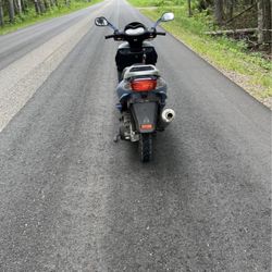 2021 Ice bear Ice bear