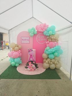 BACKDROPS AND CANOPY