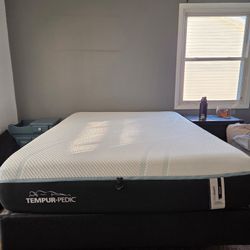 Tempurpedic Mattress 