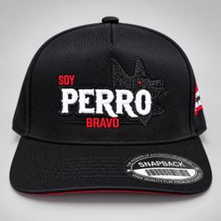 Gorras en venta, hats for sale