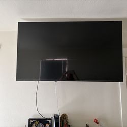 65” LG TV with wall mount