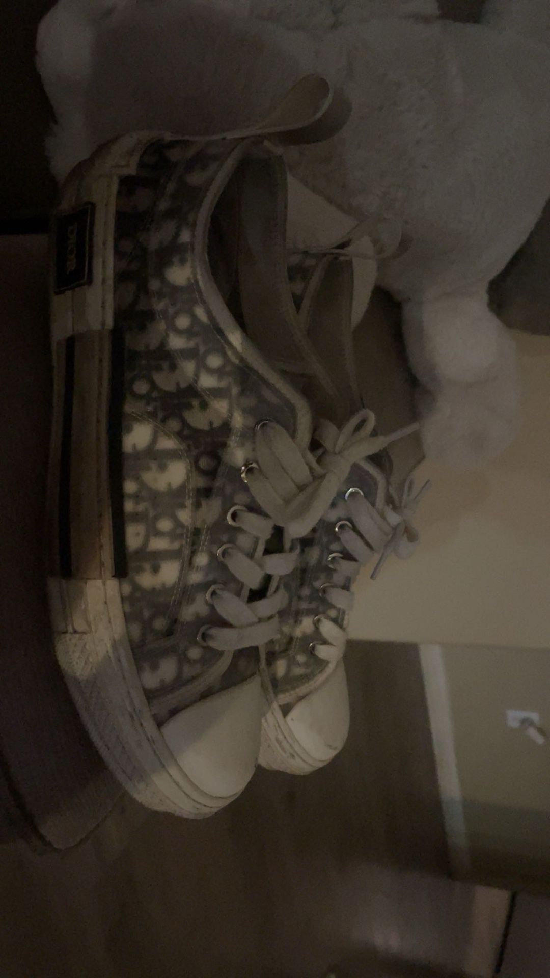 Dior shoes