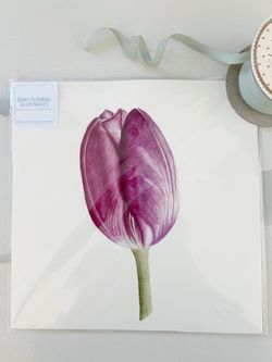 Original Watercolor Botanical Art Tulip