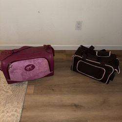Pet Travel Carriers
