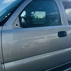 Silver Birch Drivers Side Door