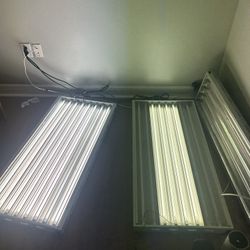 Sun Blaze T5 48’’ Lights