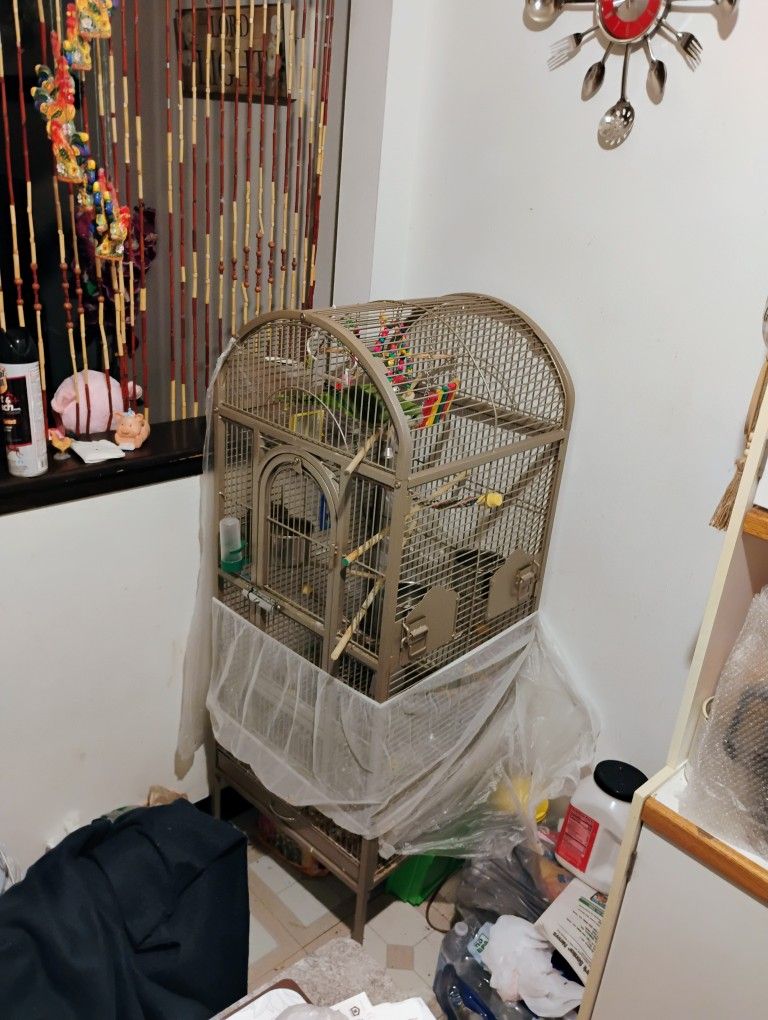 Bird Cage
