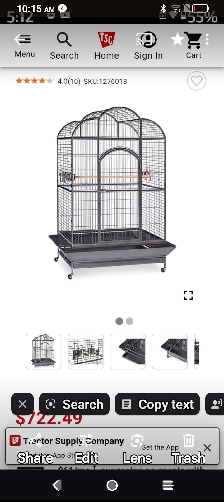 Bird Cage