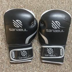 Sanabul boxing Gloves