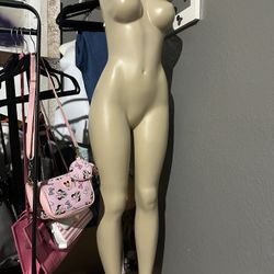 Manikin