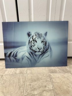 beautiful brand new 28 by 20 inch tempered glass wall art. (MUST SELL TODAY!)