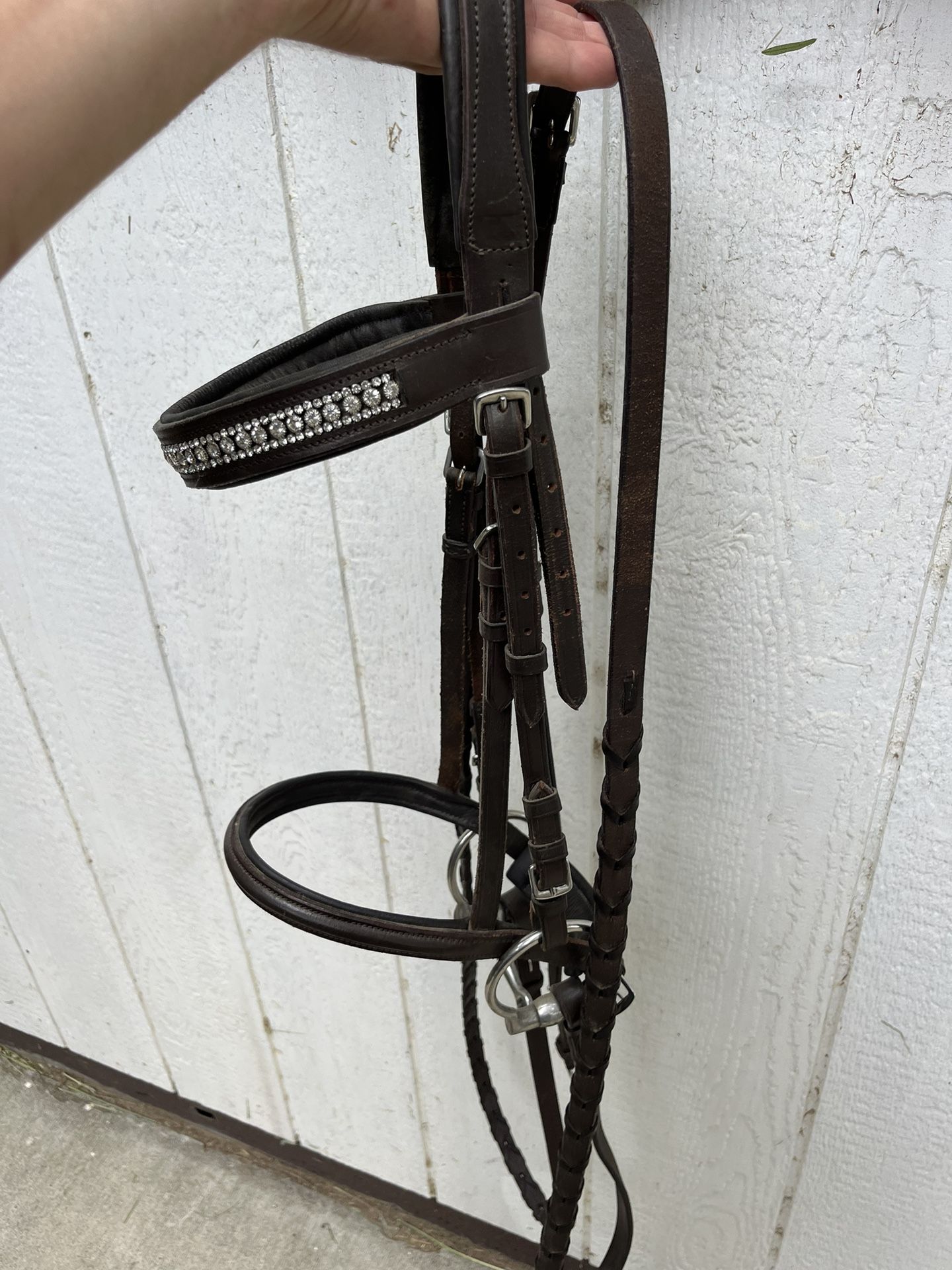Dressage Bridle
