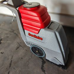 Professional Carpet Cleaner