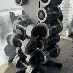 Dumbbell SET 10-45lbs  
