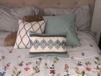 Bed or couch pillows. Barely touched.