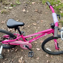 Specialized 20 Inch Youth Pink Bike With Coaster Brake 