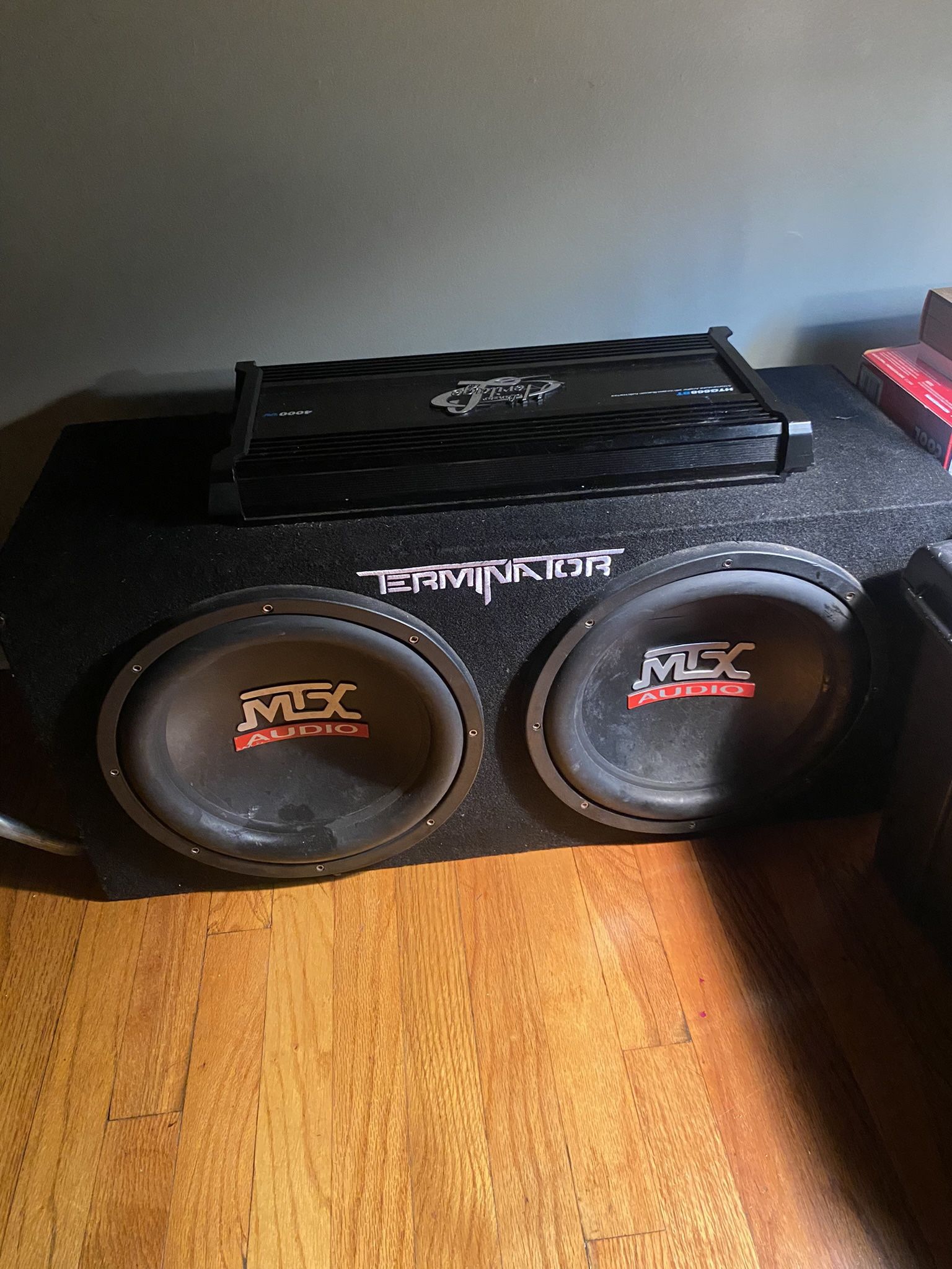 Terminator Box With 2 Amps Good Quality Sound