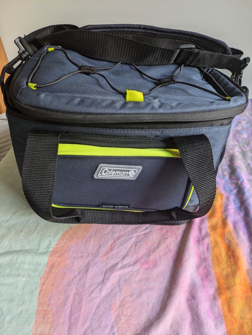 Large Lunchbox/Cooler