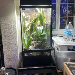 40 Gallon Conversion Kit Vivarium