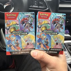 Pokemon Journey together