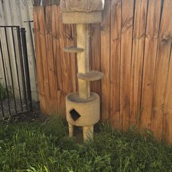 FREE CAT TREE!