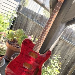 Tele Style Guitar Body & Neck