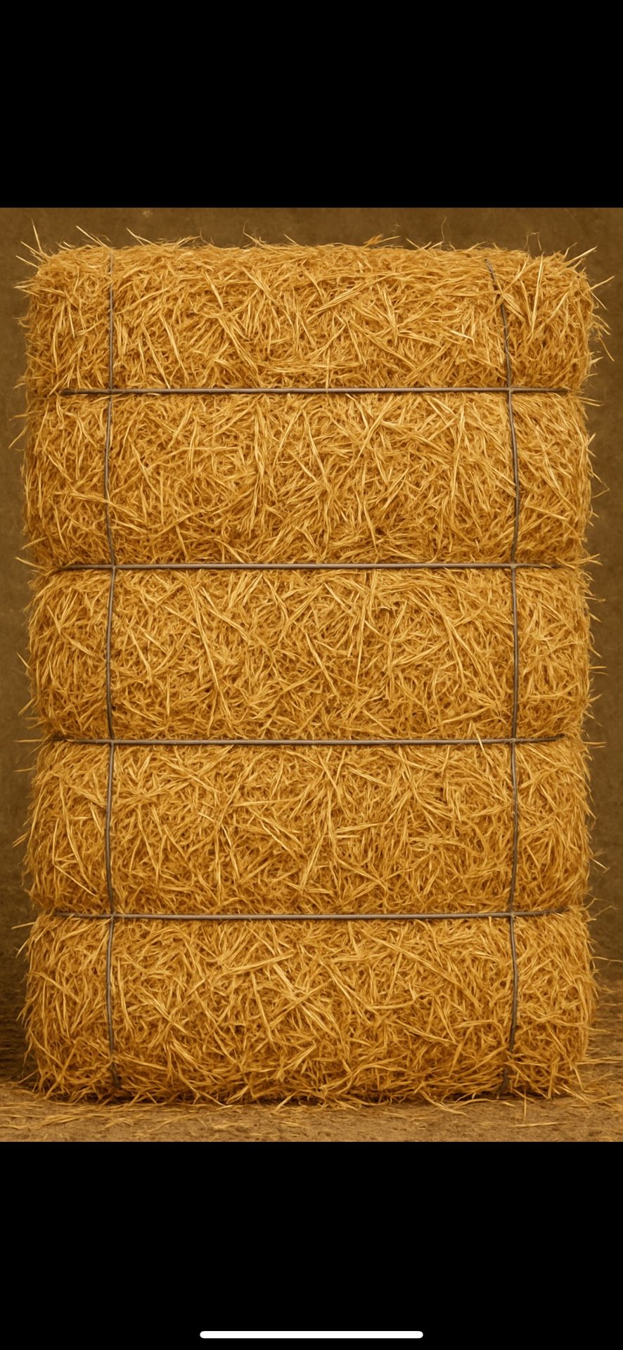 HAY FOR SALE