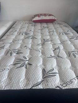 Queen Mattress with Bamboo Print Cover