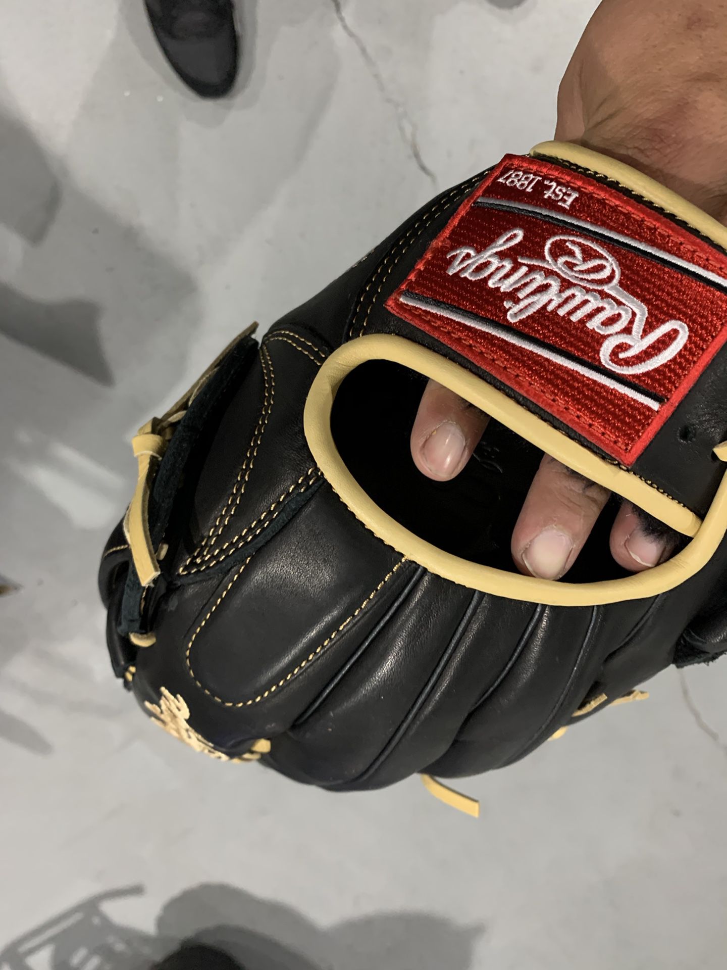 Baseball/Softball glove