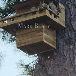 Custom Squirrel House