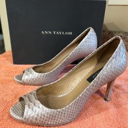 Ann Taylor, Antonio Melani And More