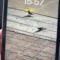 Selling my iPad mini 6 (64GB, Wi-Fi + Cellular