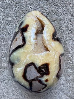 Tortoise shell egg with calcite geode