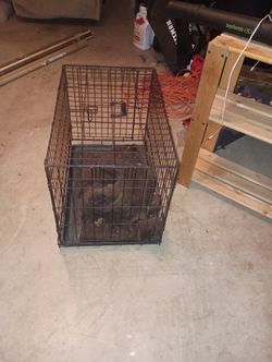 DOG KENNEL