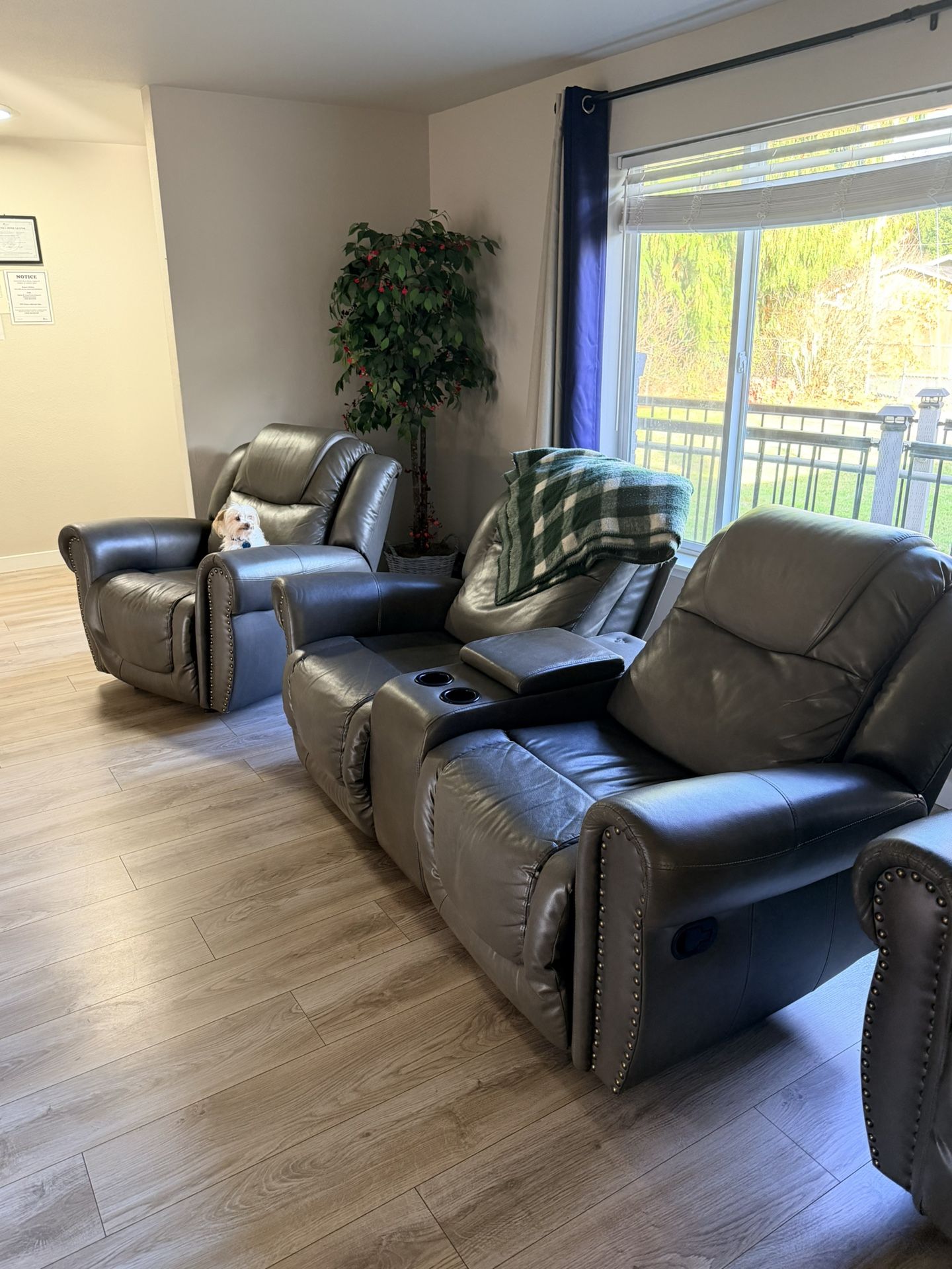 Leather Reclining Chairs