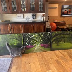 Set Of Three Large Landscape Canvas Prints