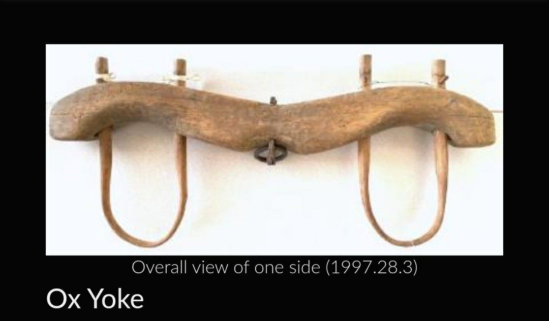 Mid Century animal Yoke