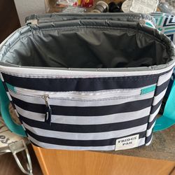 Lunch Bag/wine Cooler