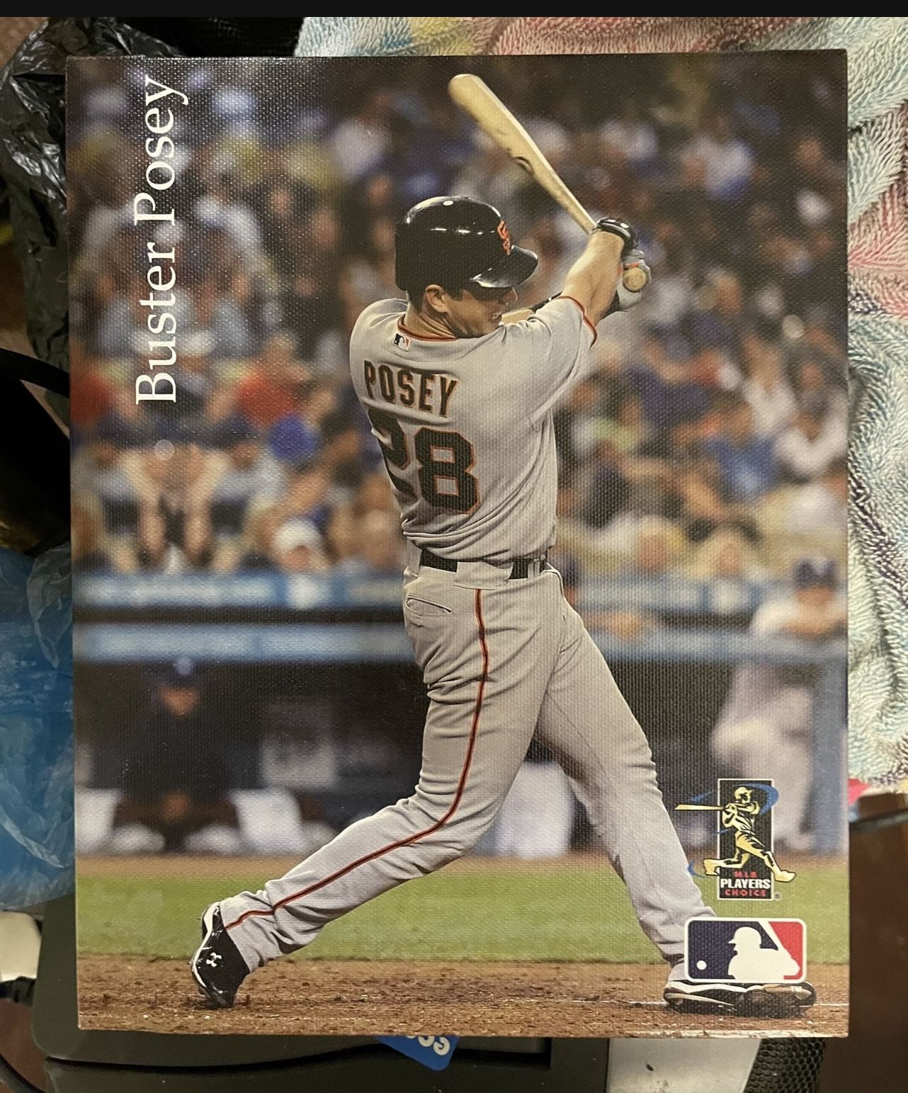 Buster Possey  Canvas Pix Collectable 