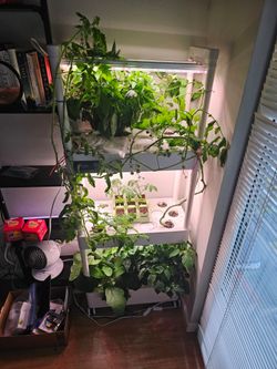 Elfsys Grow Kit (3 Tier) Hydroponics Garden System