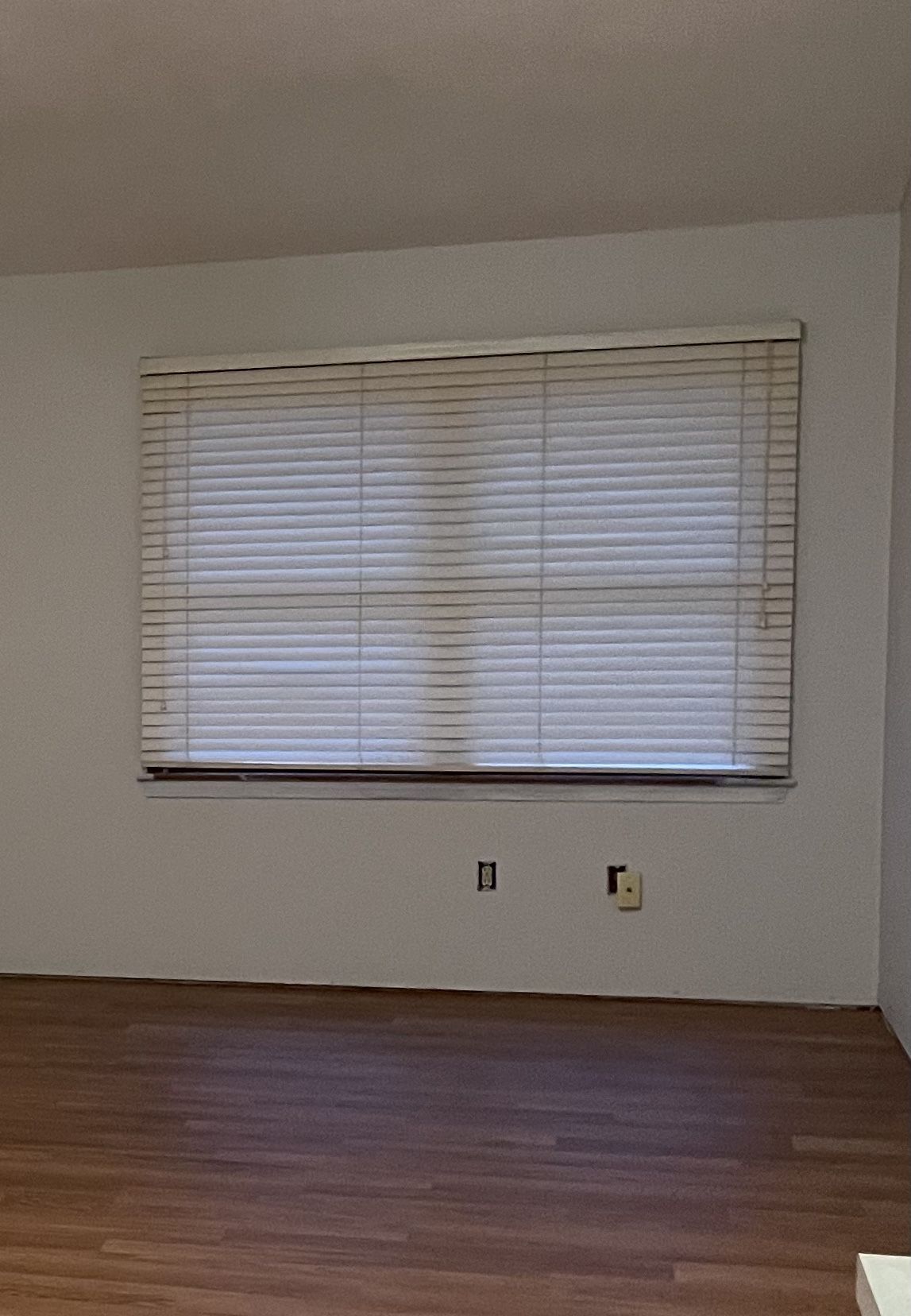 Window Blinds