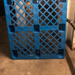 Plastic Pallet Blue