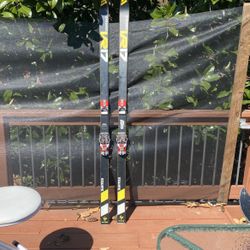 Dynamic VR17 Skis